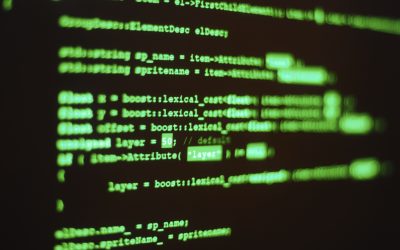 Sentencia caso Bosco: Derecho de acceso al código fuente de aplicaciones de la Administración